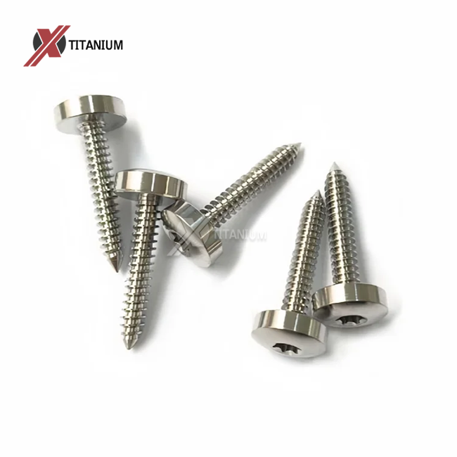 DIN34819 Titanium Torx Pan Head Tapping Screws